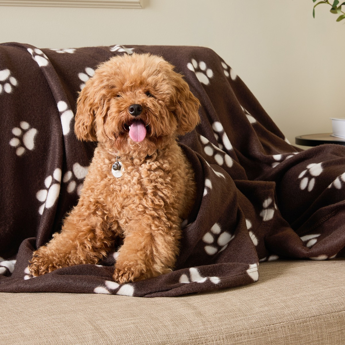 OHS Pet Paw Print Fleece Throw - Brown>