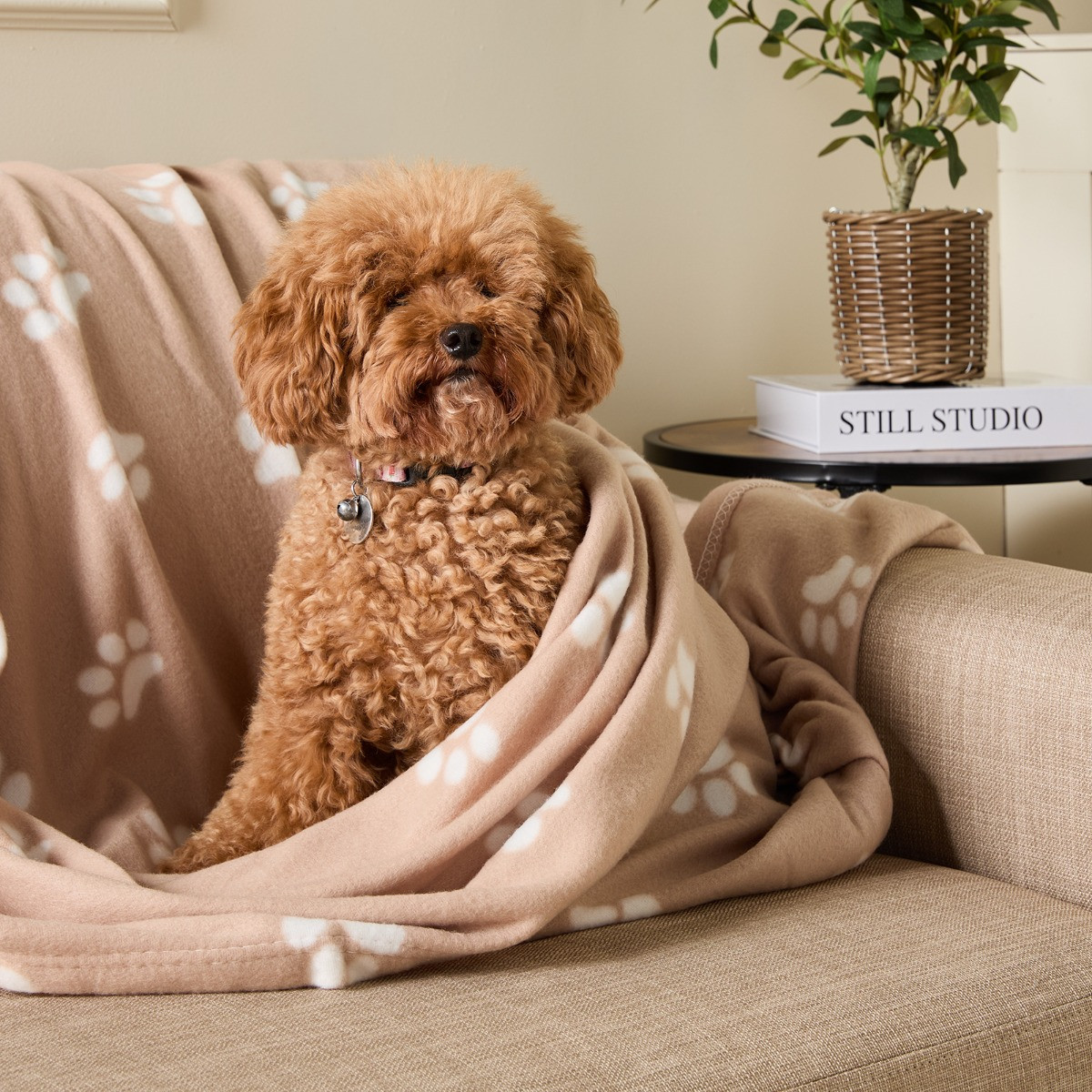 OHS Pet Paw Print Fleece Throw - Natural>