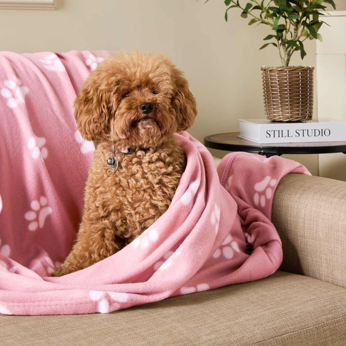 OHS Pet Paw Print Fleece Throw - Blush>