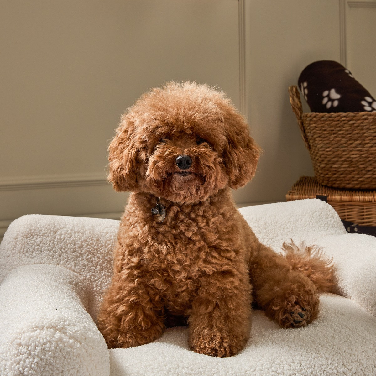 OHS Plush Pet Bed Sofa - Cream>