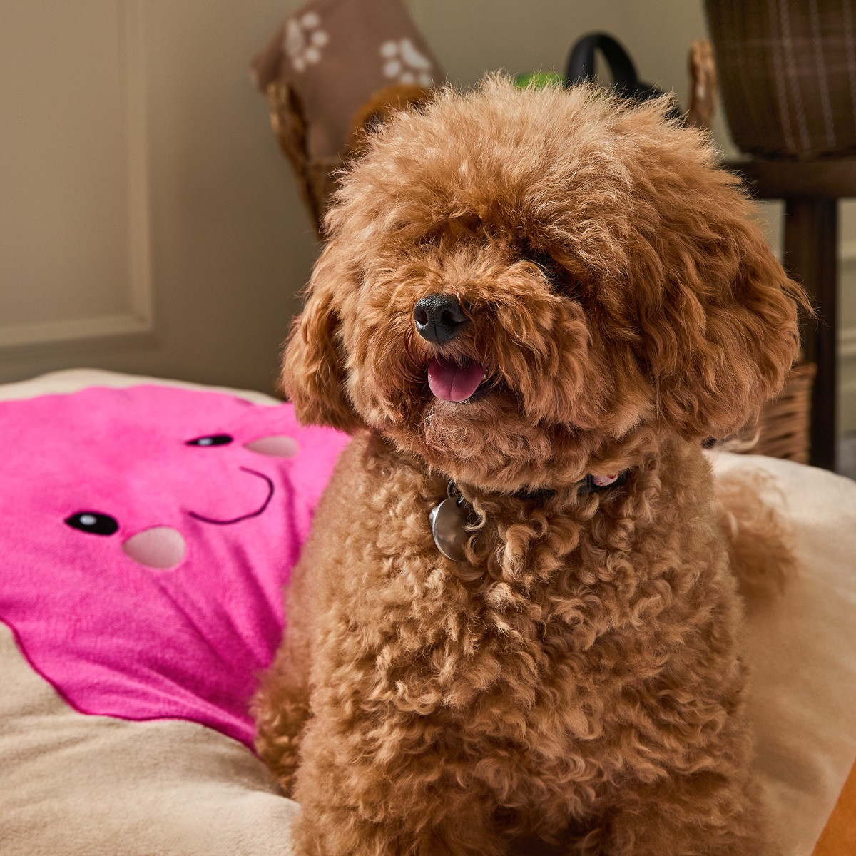 OHS Rosie The Jam Toast Pet Bed - Brown/Hot Pink>