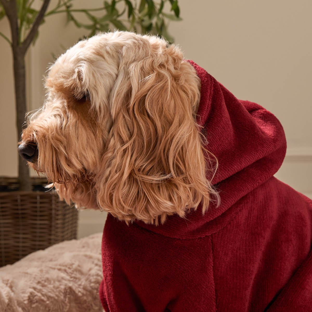 OHS Dog Hoodie Blanket - Burgundy>