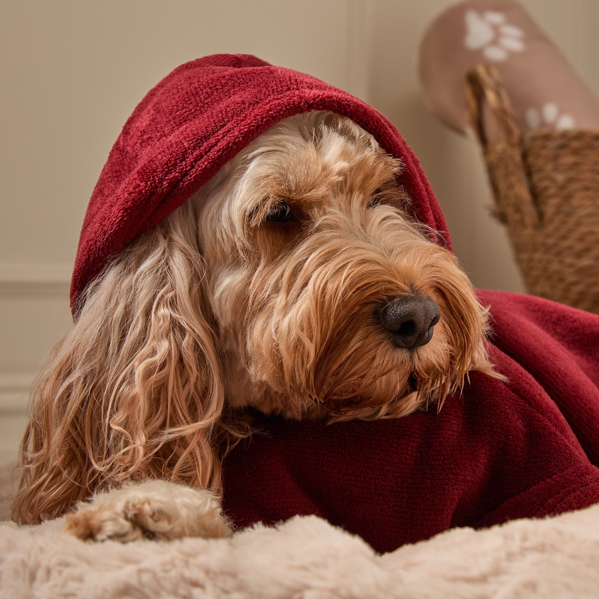 OHS Dog Hoodie Blanket - Burgundy>