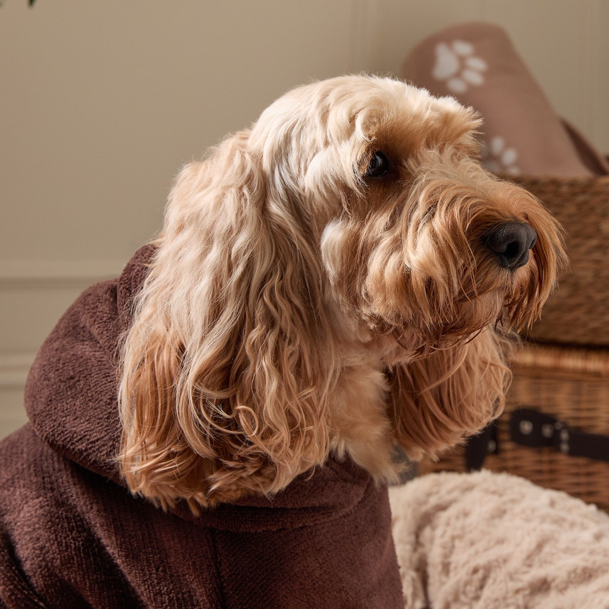 OHS Dog Hoodie Blanket - Brown>