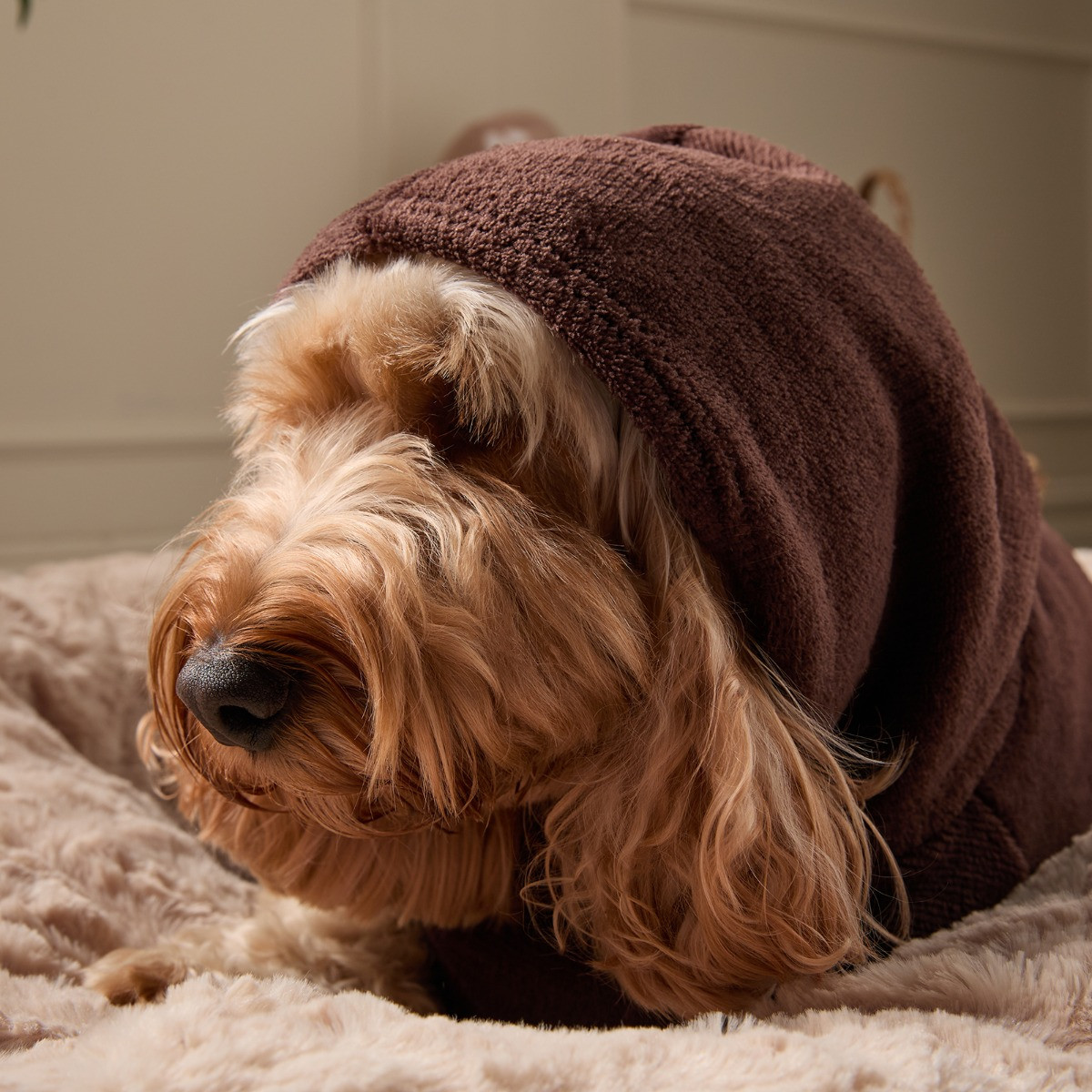 OHS Dog Hoodie Blanket - Brown>