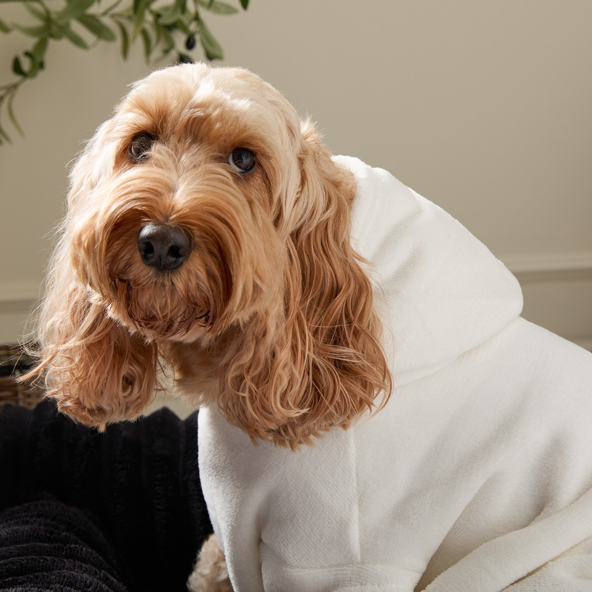 OHS Dog Hoodie Blanket - Cream>