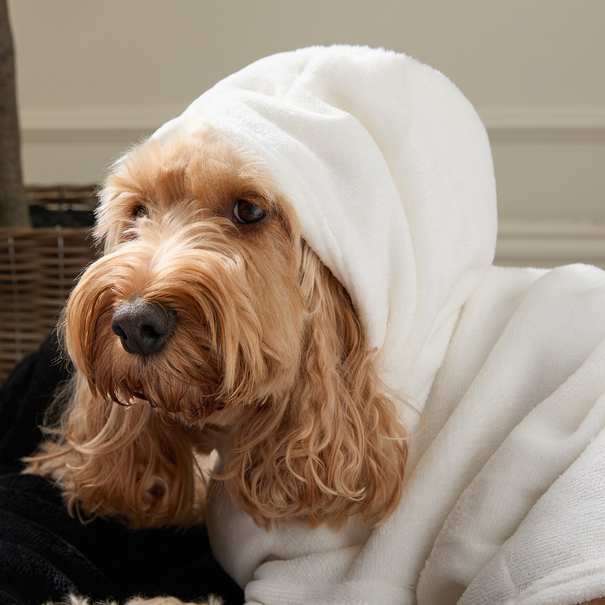 OHS Dog Hoodie Blanket - Cream>