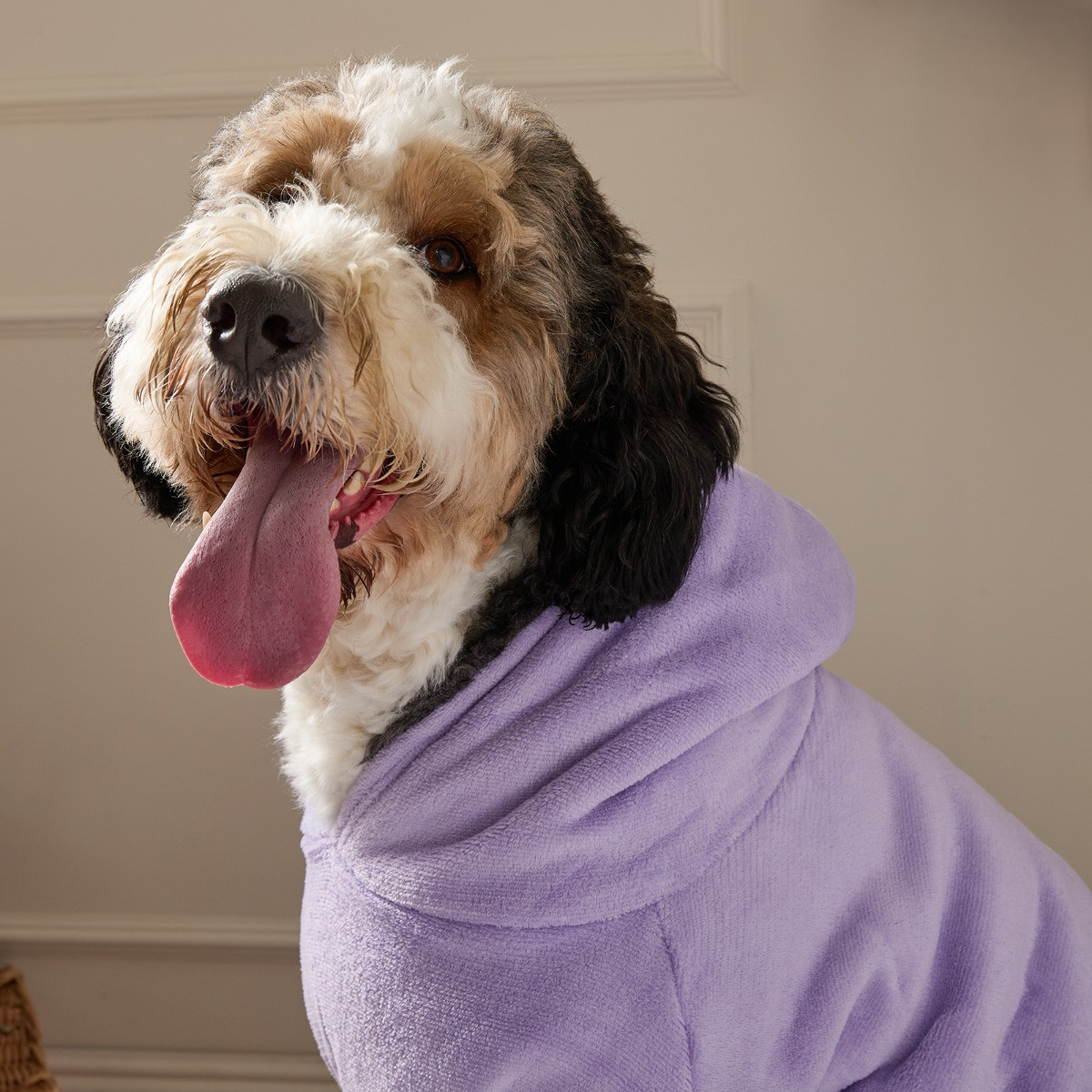 OHS Dog Hoodie Blanket - Lilac>