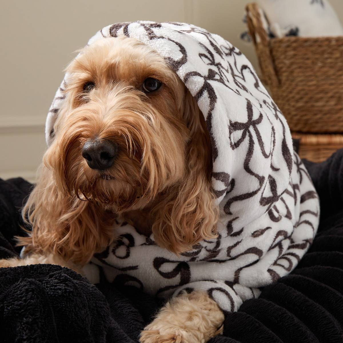 OHS Ribbon Bow Print Dog Hoodie Blanket - Monochrome>
