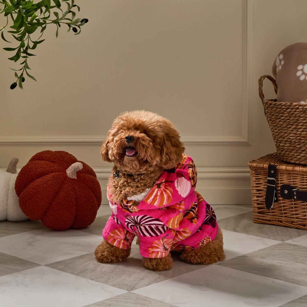 OHS Pumpkin Print Dog Hoodie Blanket - Pink>