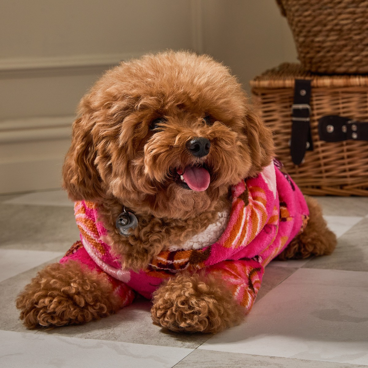 OHS Pumpkin Print Dog Hoodie Blanket - Pink>