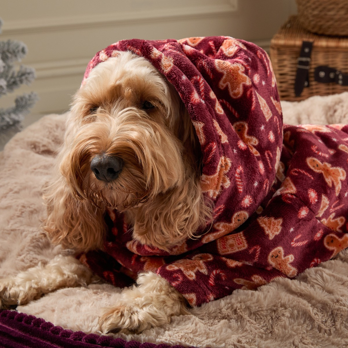 OHS Gingerbread Man Print Dog Hoodie Blanket - Burgundy>
