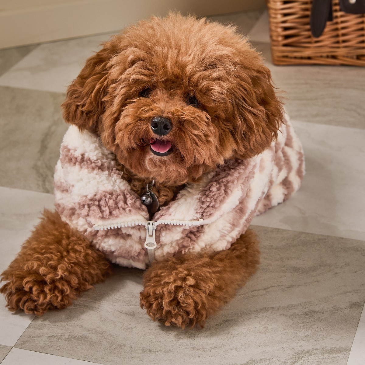 OHS Zebra Print Teddy Half Zip Dog Fleece - Beige>