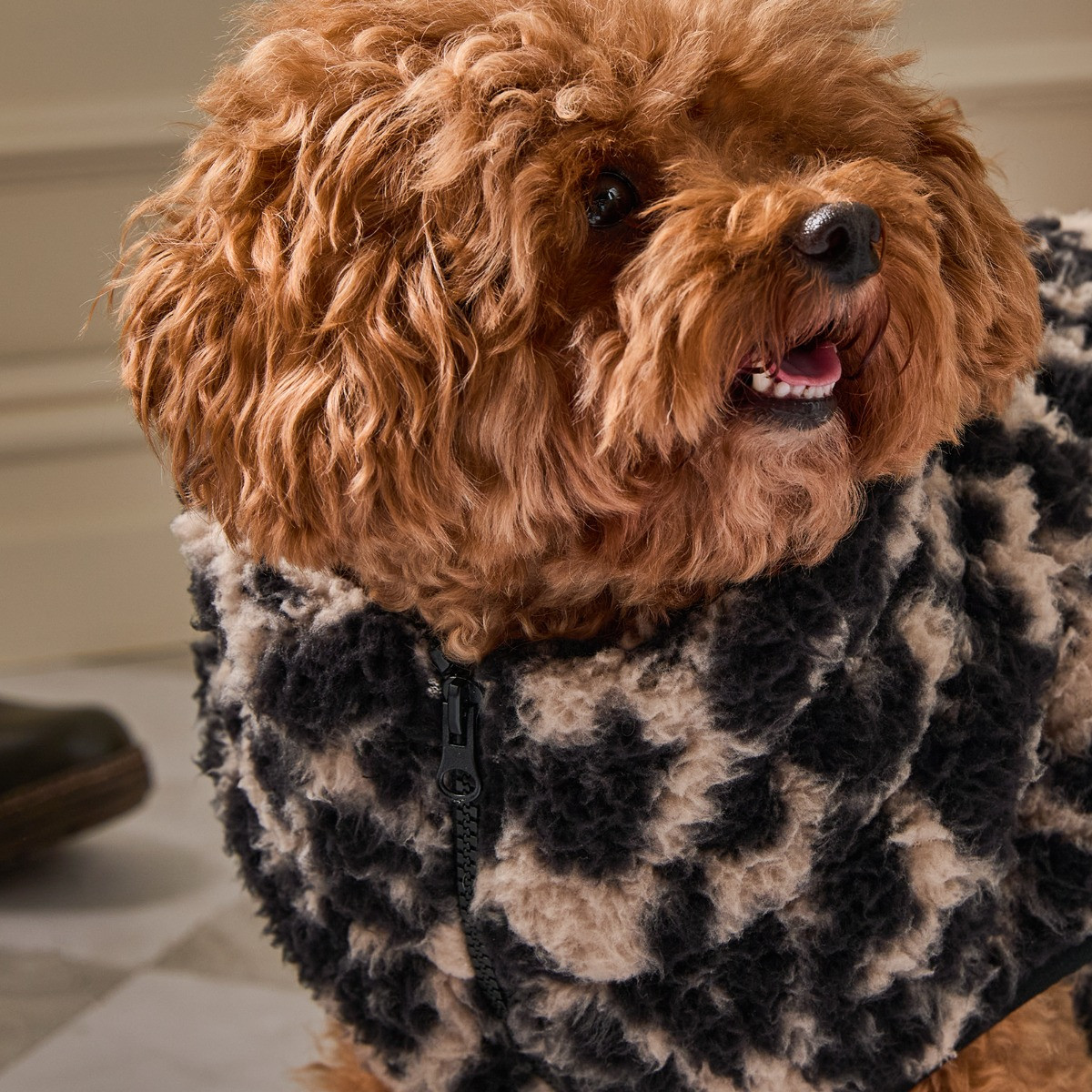 OHS Leopard Print Teddy Half Zip Dog Fleece - Natural>