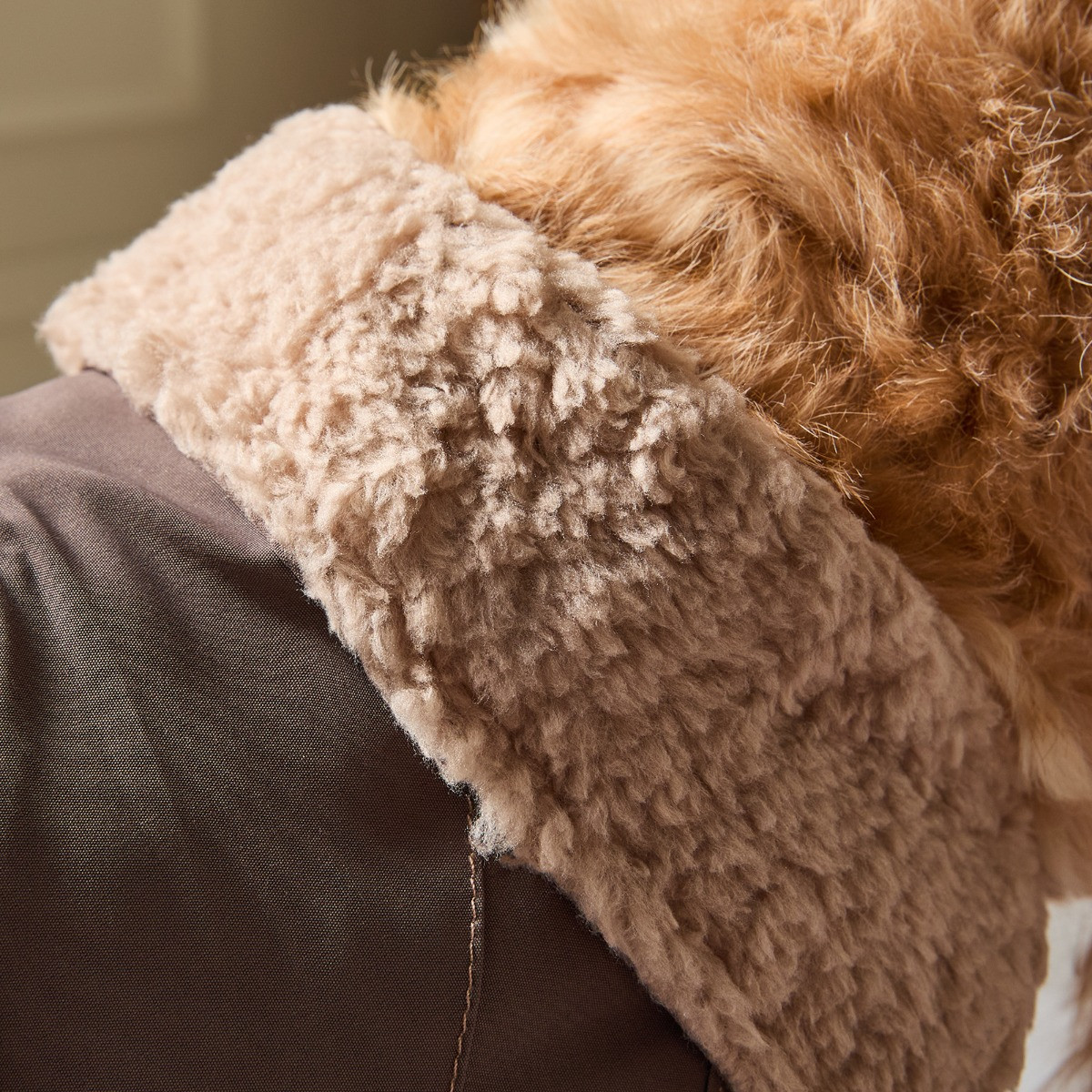 OHS Dog Drying Robe - Brown>