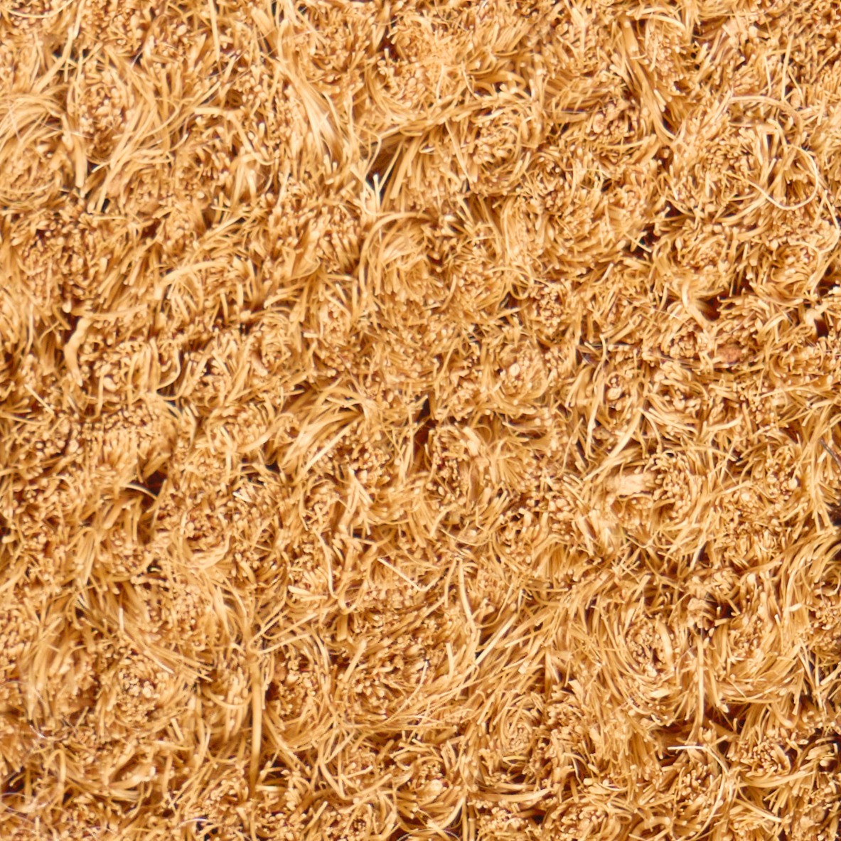 OHS Gingerbread House Coir Mat - Brown >