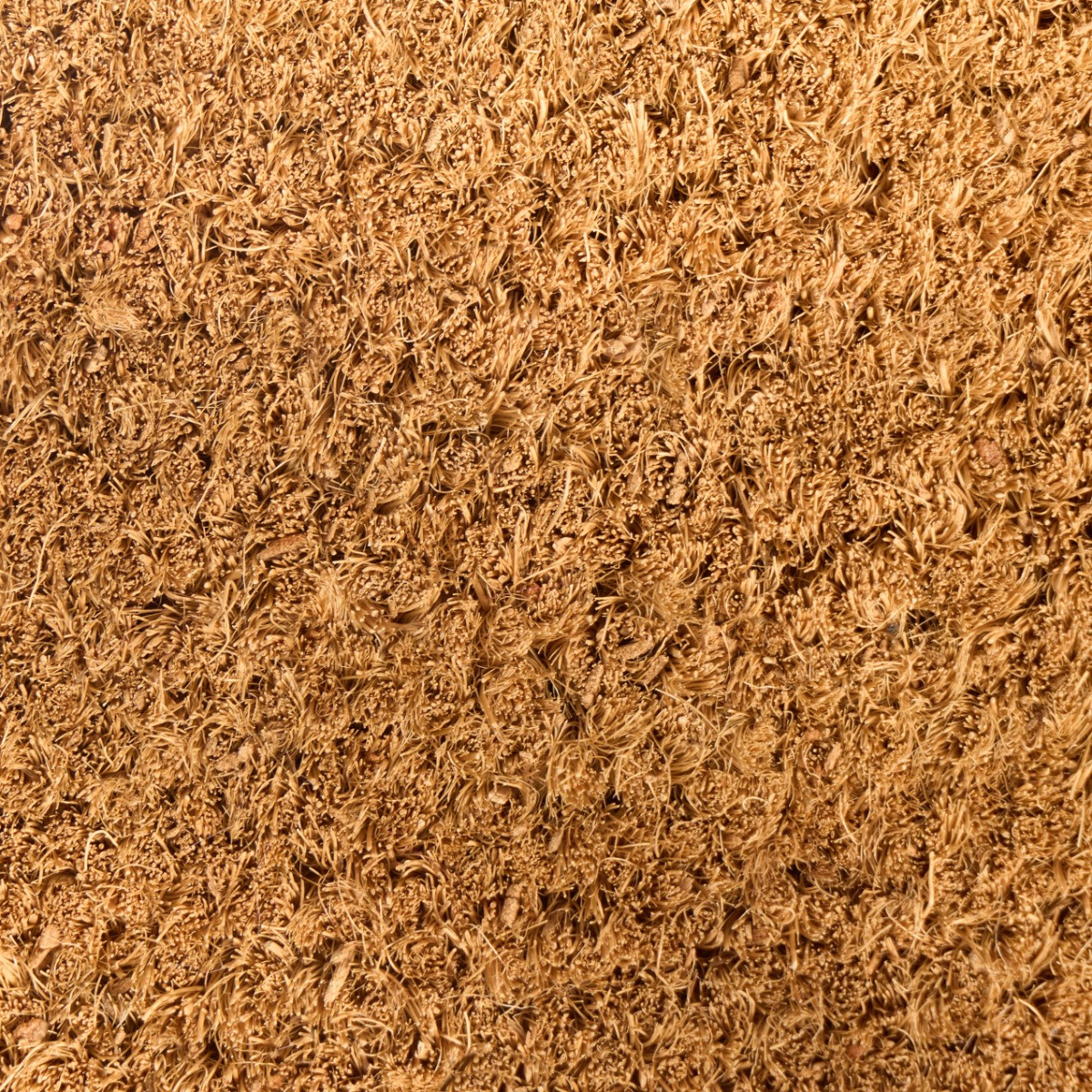 OHS Bow Print Coir Mat - Natural/Red >