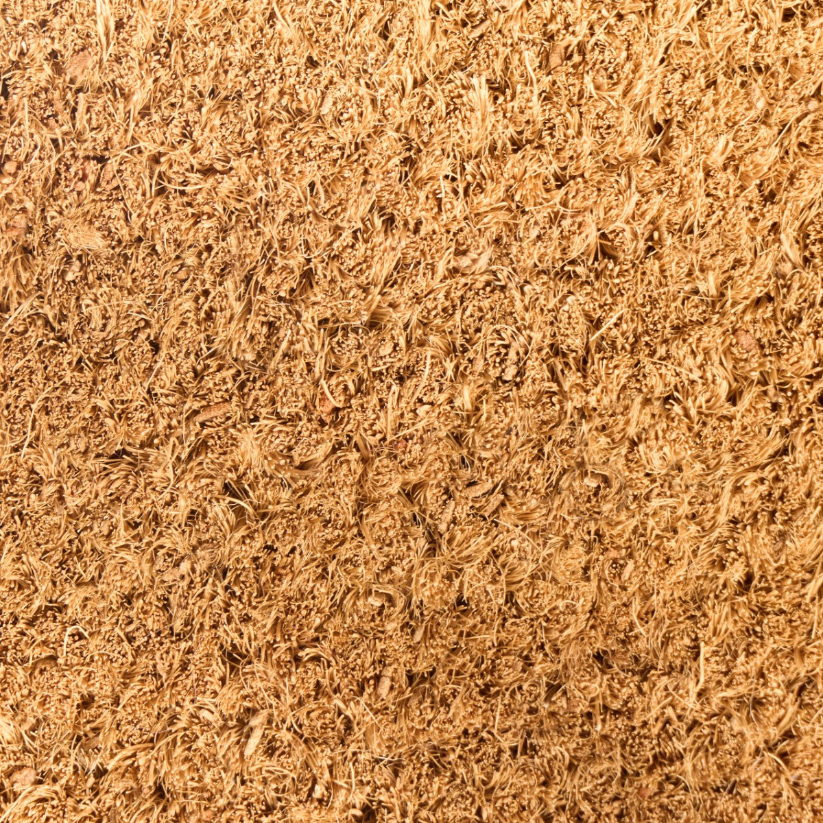 OHS Howdy Cowboy Print Coir Mat - Pink/Natural>