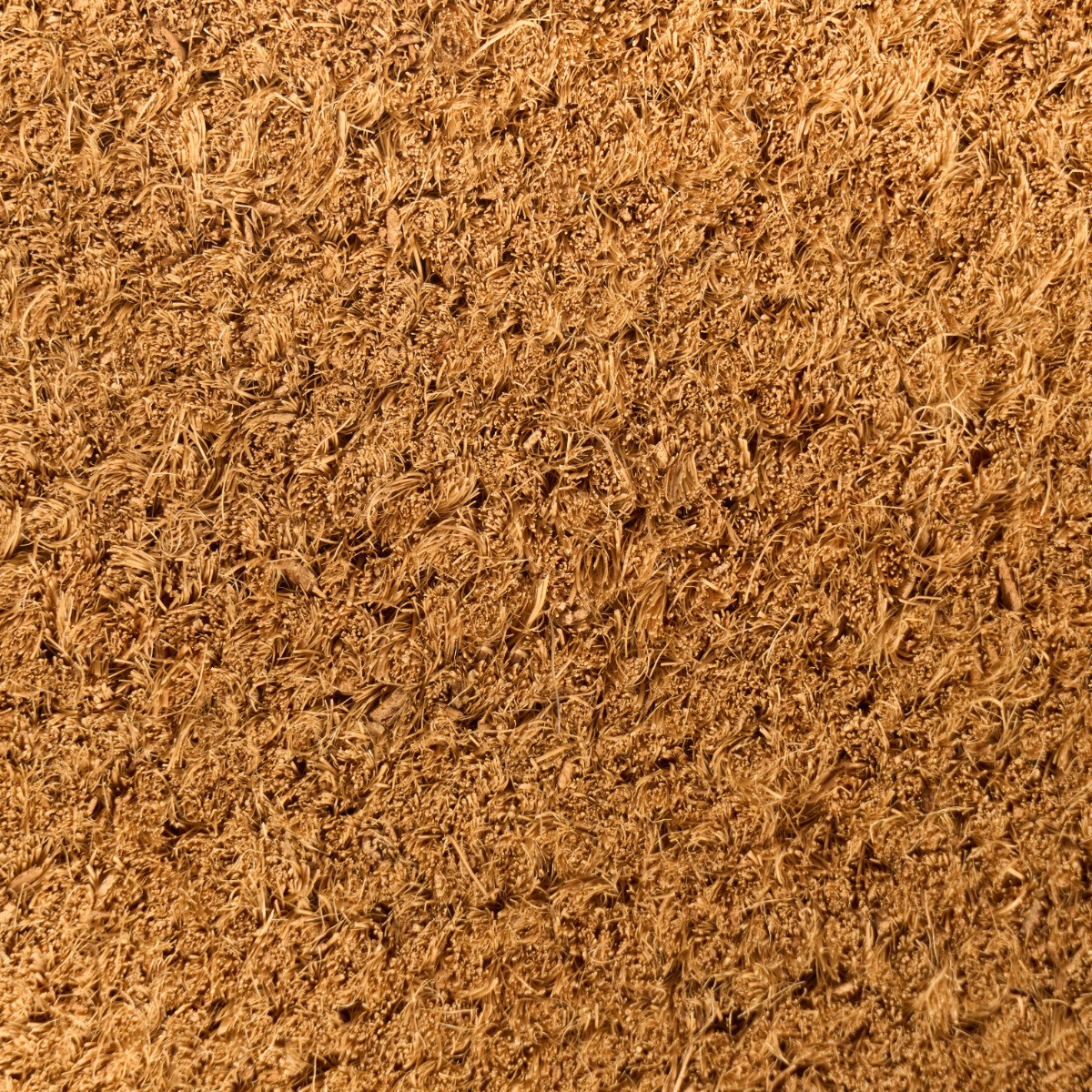 OHS Hope You Brought Wine Print Coir Mat - Natural>