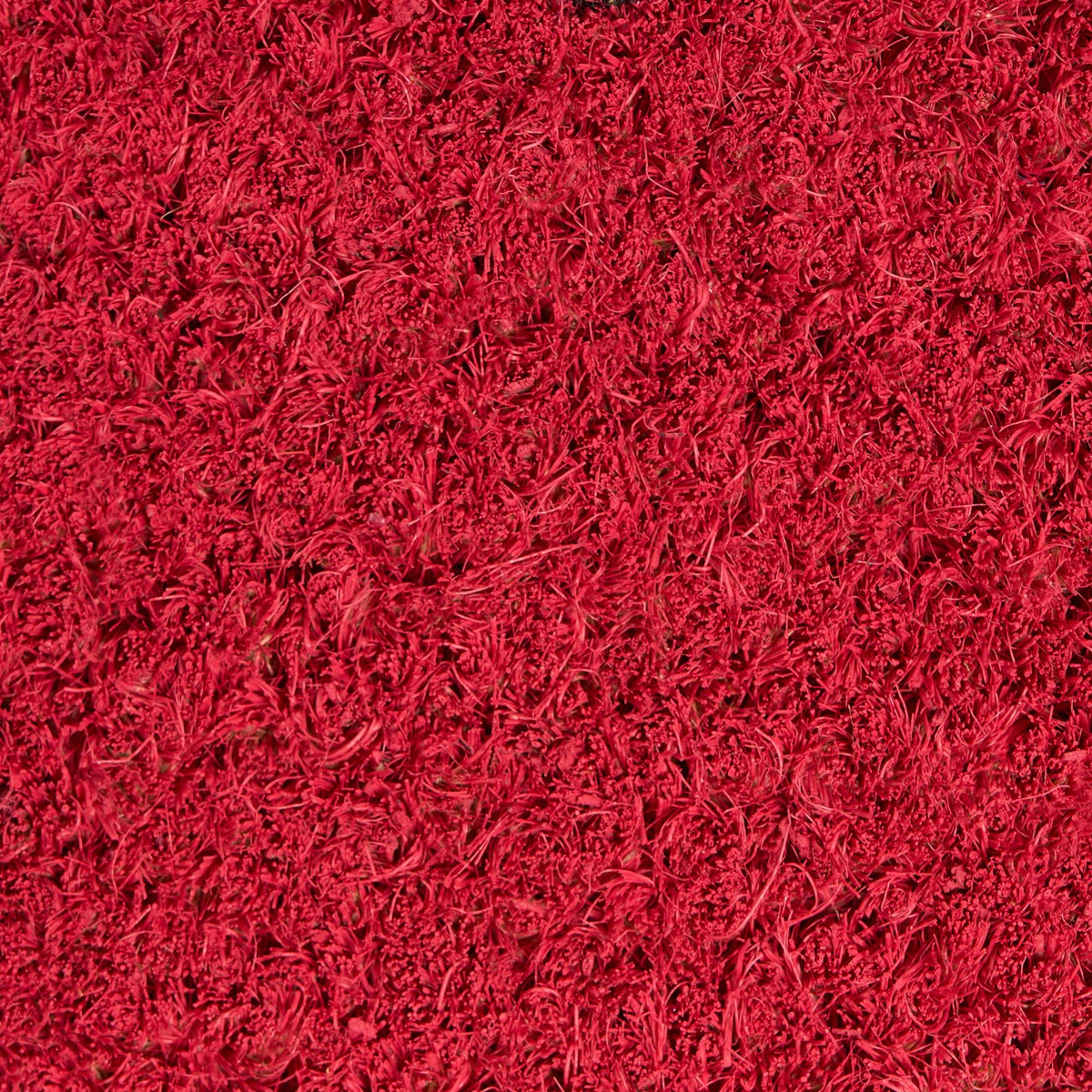 OHS Watermelon Shaped Coir Mat - Red/Green>