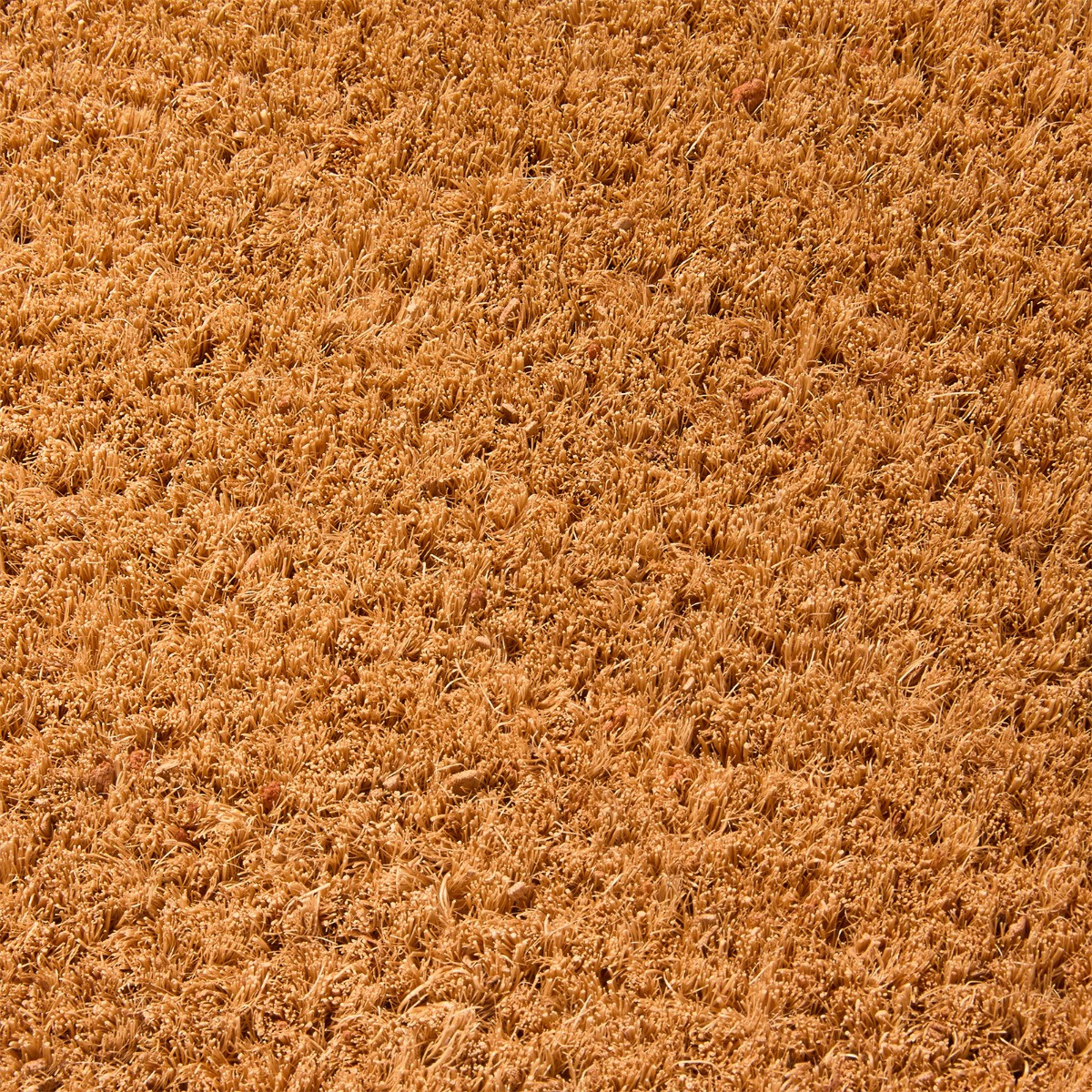 OHS Bow Print Coir Mat - Brown/Blue>