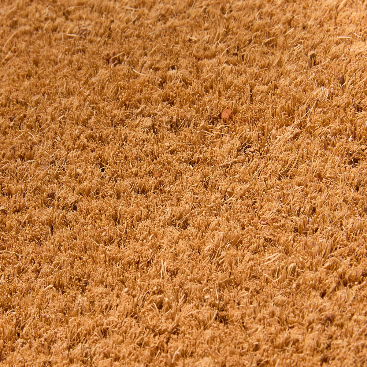OHS Please Hide Packages Print Coir Mat - Brown/Black>
