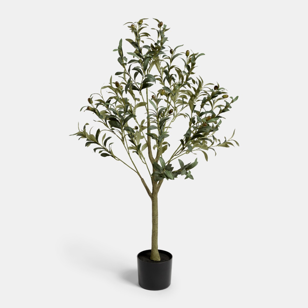 OHS Olive Tree in Pot - Black>
