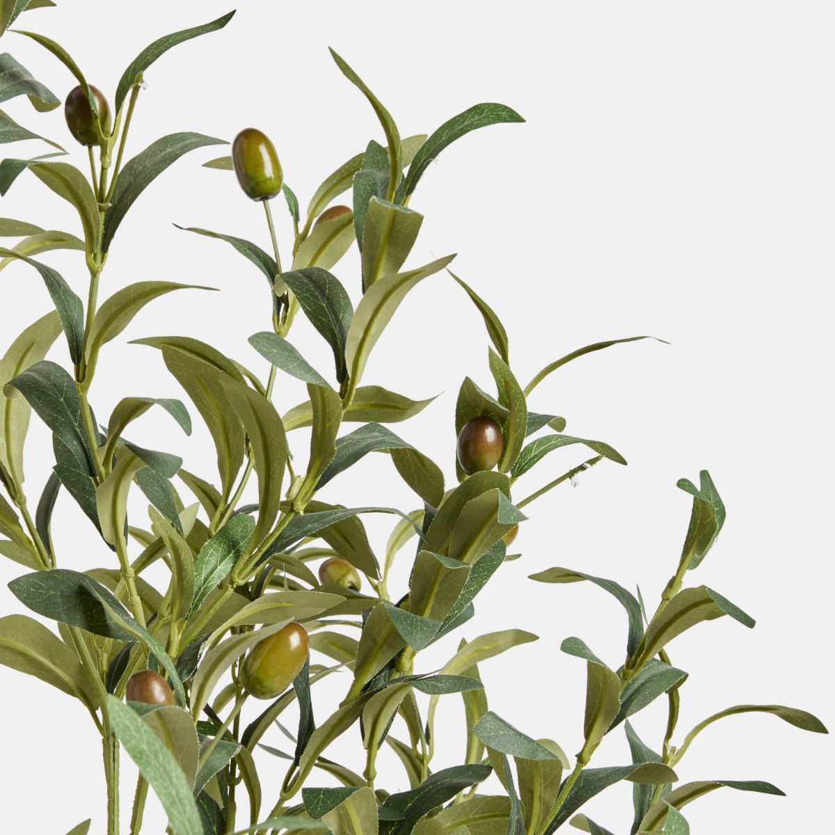 OHS Olive Tree in Pot - Black>