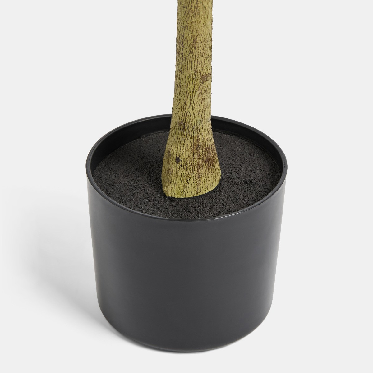 OHS Olive Tree in Pot - Black>