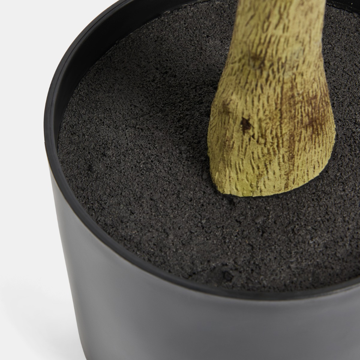 OHS Olive Tree in Pot - Black>