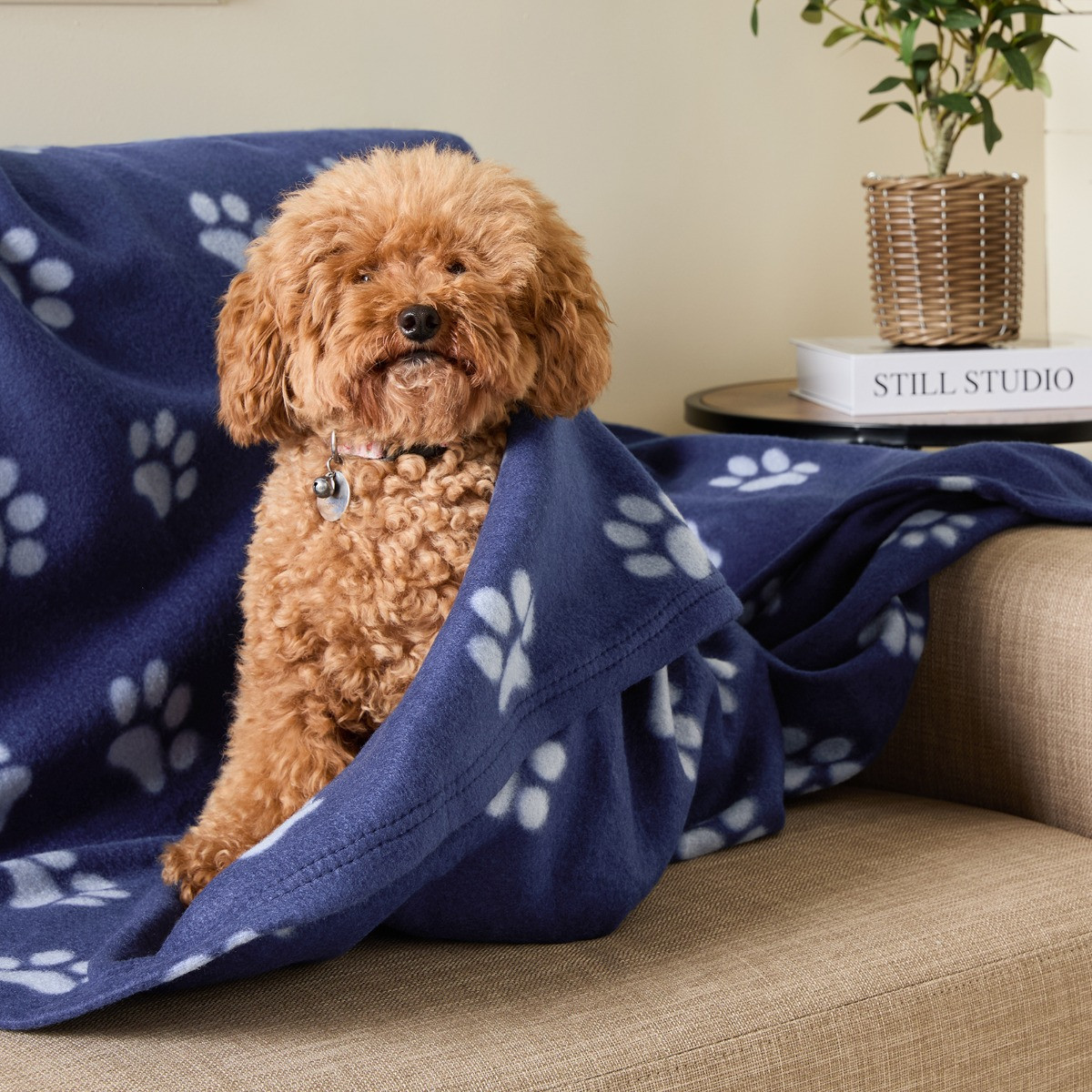 OHS Pet Paw Print Fleece Throw - Blue>