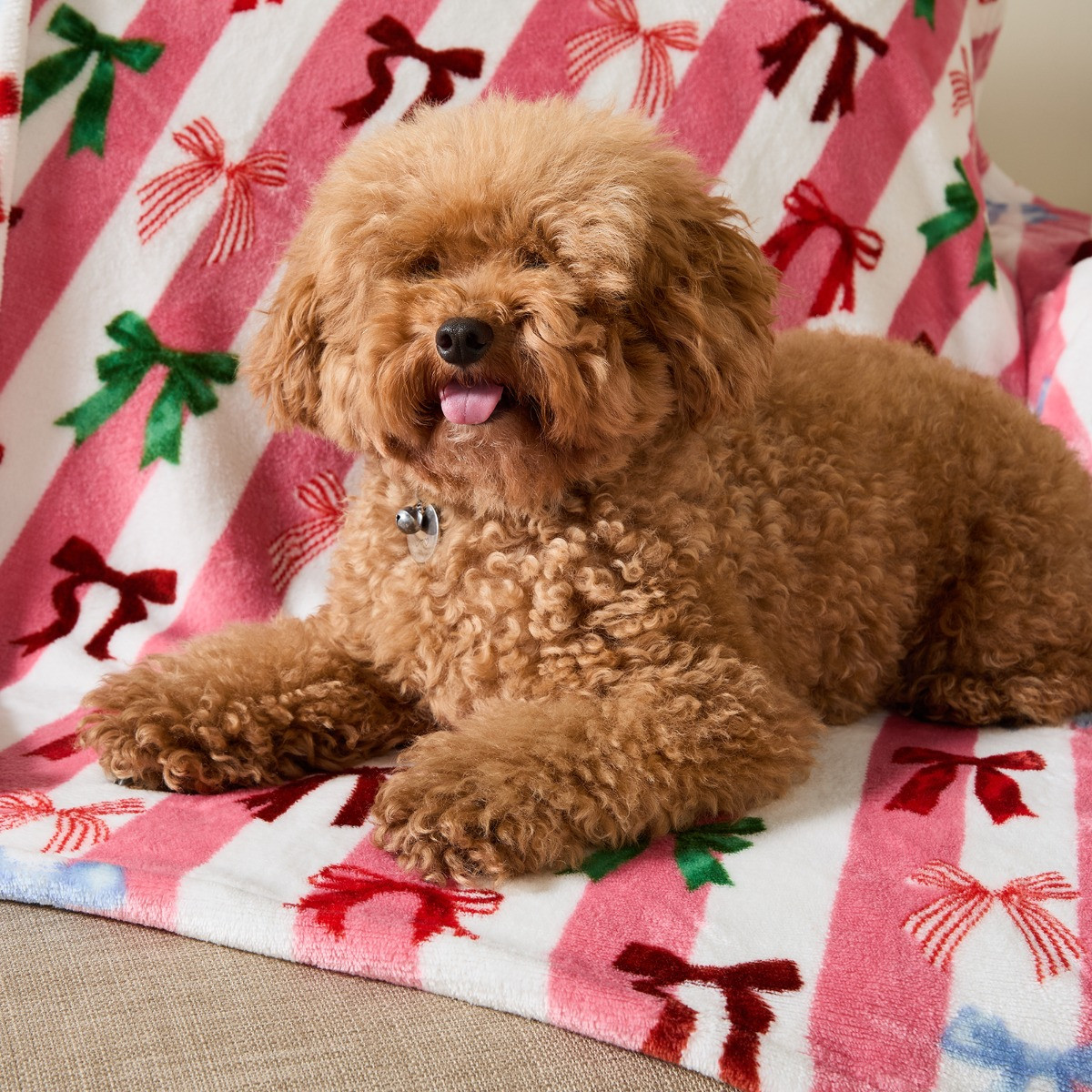 OHS Pet Multi Bow Stripe Sherpa Reverse Throw - Pink/White>