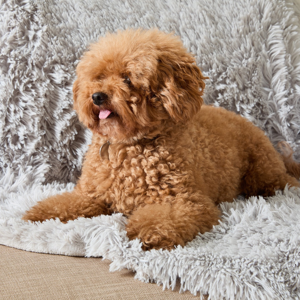 OHS Pet Calming Fluffy Throw - Silver>