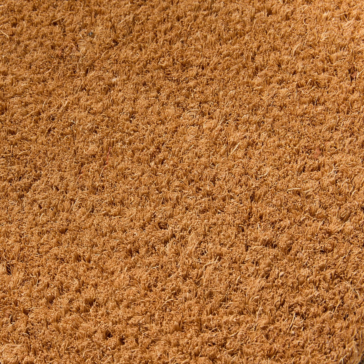 OHS Dog Print Coir Mat - Brown>
