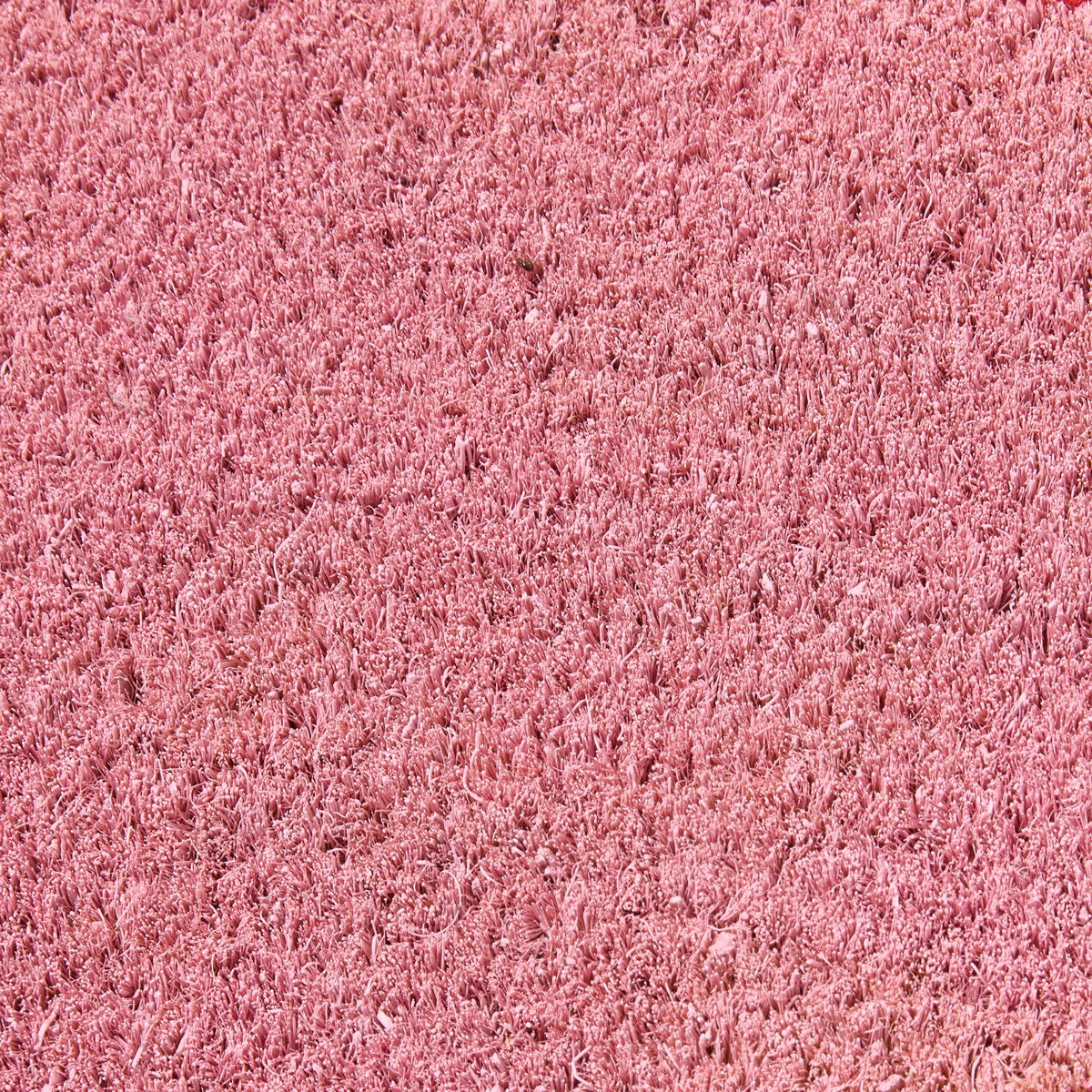 OHS Cherry Print Scallop Edge Coir Mat - Pink/Red>