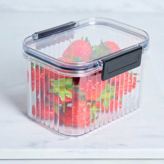 OHS Small Plastic Clip Lock Storage Container - Clear