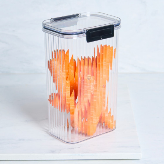 OHS Large Plastic Clip Lock Storage Container - Clear