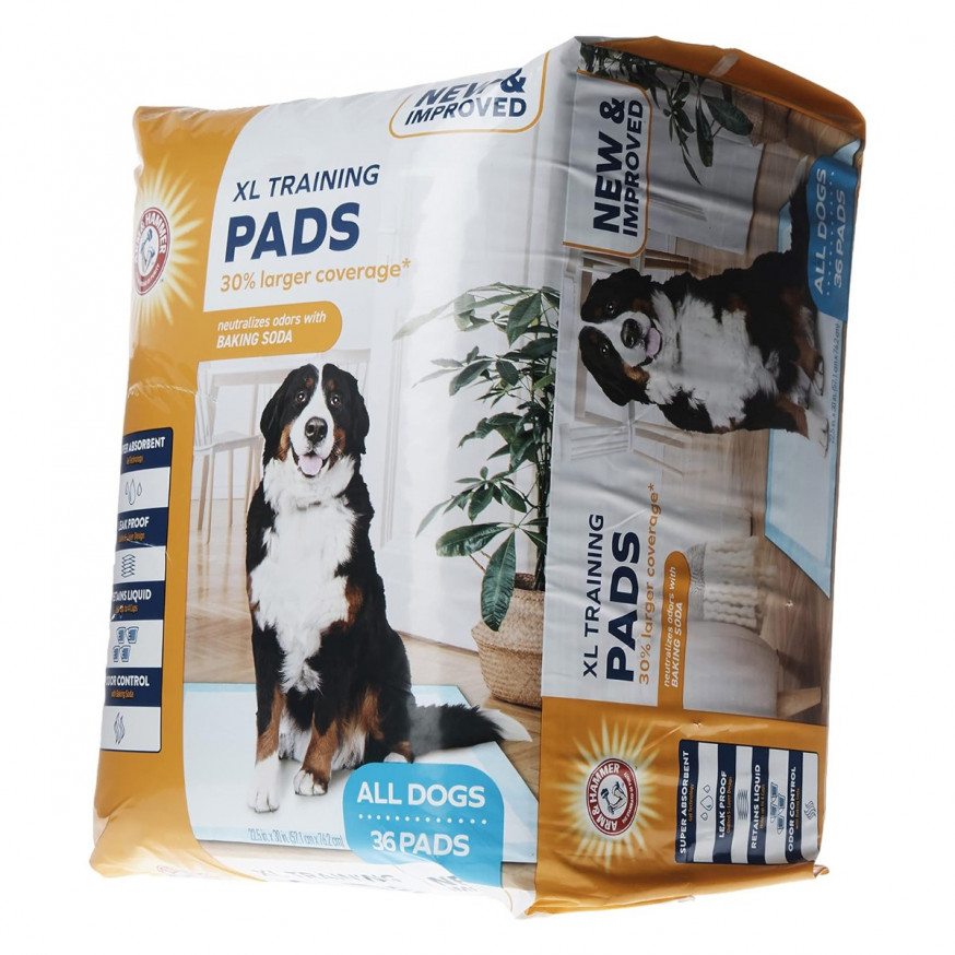 Arm & Hammer Extra Large Dog Training Pads, 36 Pack White