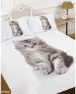 Dreamscene Animal Print Kitten Duvet Cover Bedding Set, White - Single