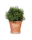 Sass & Belle Herbs Terracotta Planters with Saucer
