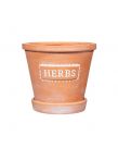 Sass & Belle Herbs Terracotta Planters with Saucer