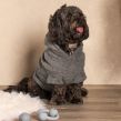 OHS Teddy Dog Hoodie - Charcoal