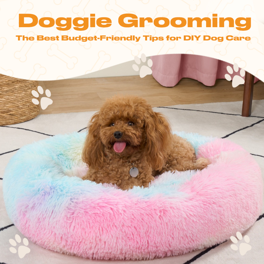 Gallery Detail: Doggie Grooming The Best Budget Friendly Tips For DIY Dog