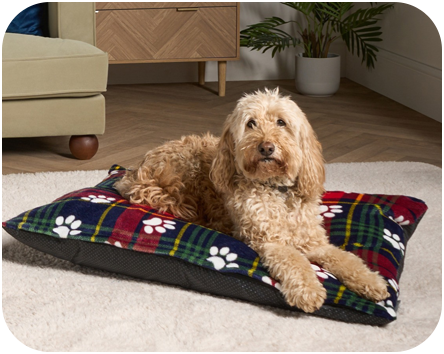 Luxury Pet Bed, feather soft fleece, Cream Poinsettia