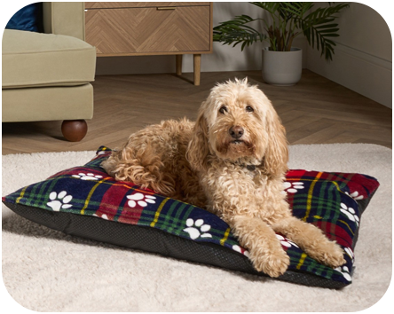 PETS_PetBed_Aw25