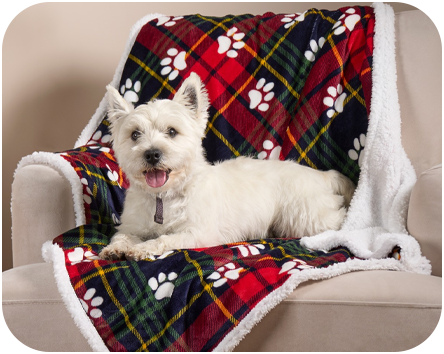 PETS_Pet_Prints_AW25